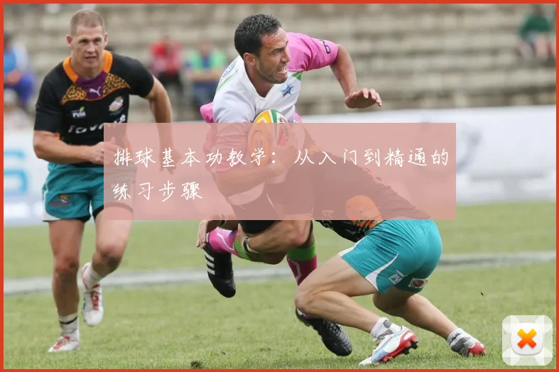 排球基本功教学:从入门到精通的练习步骤