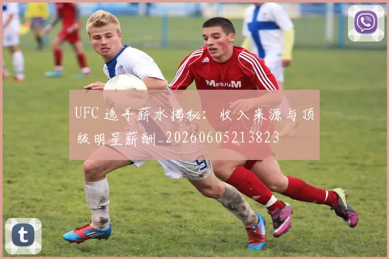 UFC 选手薪水揭秘:收入来源与顶级明星薪酬_20260605213823