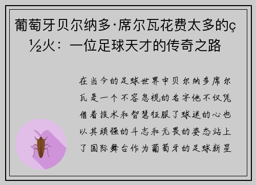 葡萄牙贝尔纳多·席尔瓦花费太多的烽火：一位足球天才的传奇之路