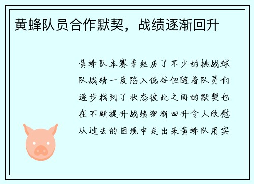 黄蜂队员合作默契，战绩逐渐回升