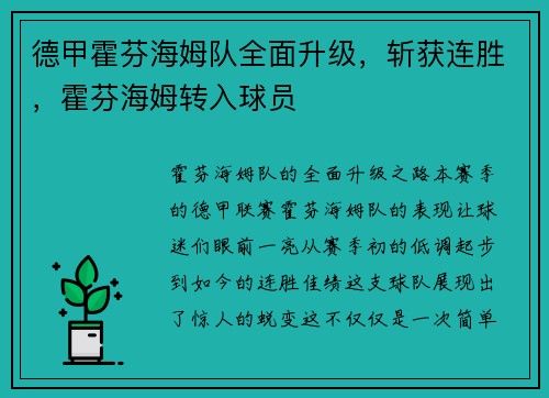 德甲霍芬海姆队全面升级，斩获连胜，霍芬海姆转入球员