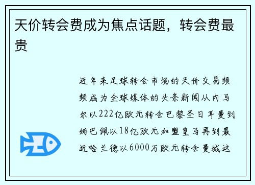 天价转会费成为焦点话题，转会费最贵