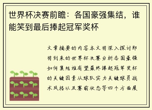 世界杯决赛前瞻：各国豪强集结，谁能笑到最后捧起冠军奖杯